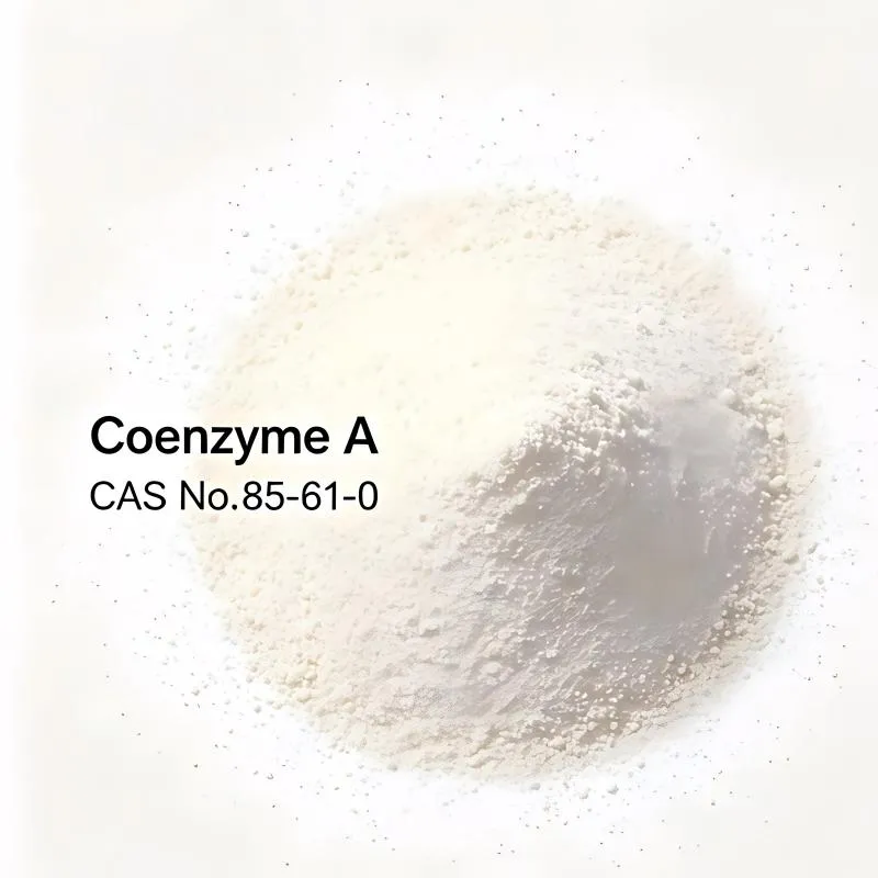 Coenzyme A Assay