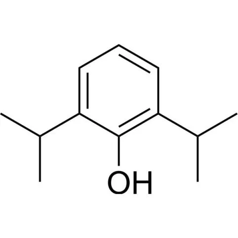 product-482-482