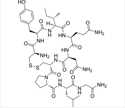 product-400-345