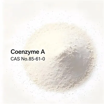 Coenzyme A Assay